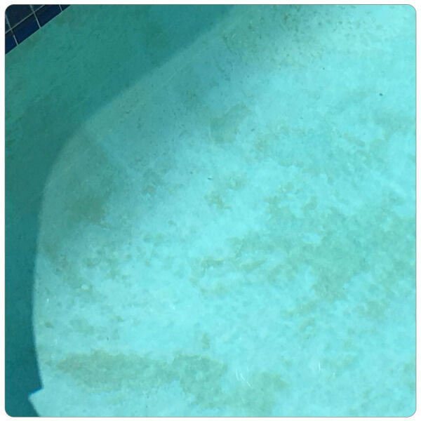 HAVUZ LEKELERİ NEDEN OLUŞUR ?